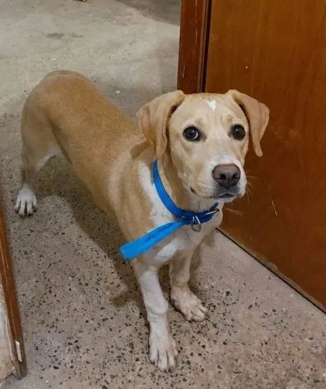 Doação 