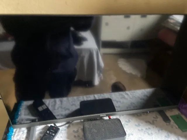 televisão 
