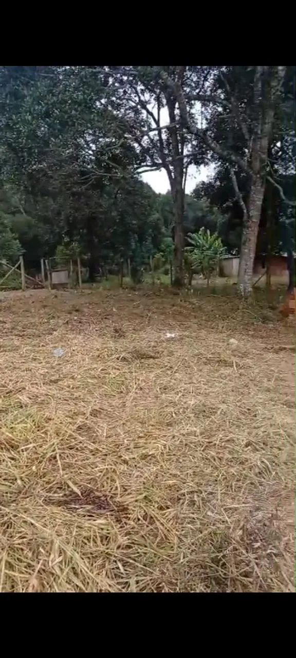Terreno com energia e poste padrão ligado  - Foto 5
