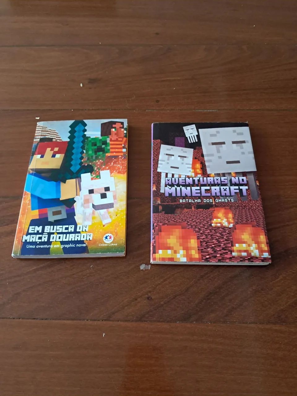 Lote dois livros minecraft infantis