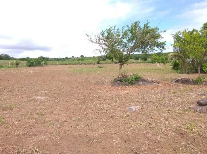 Vende se uma casa - Foto 2