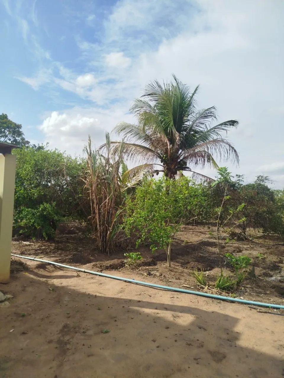 Chácara completa pronta pra morar - Foto 3