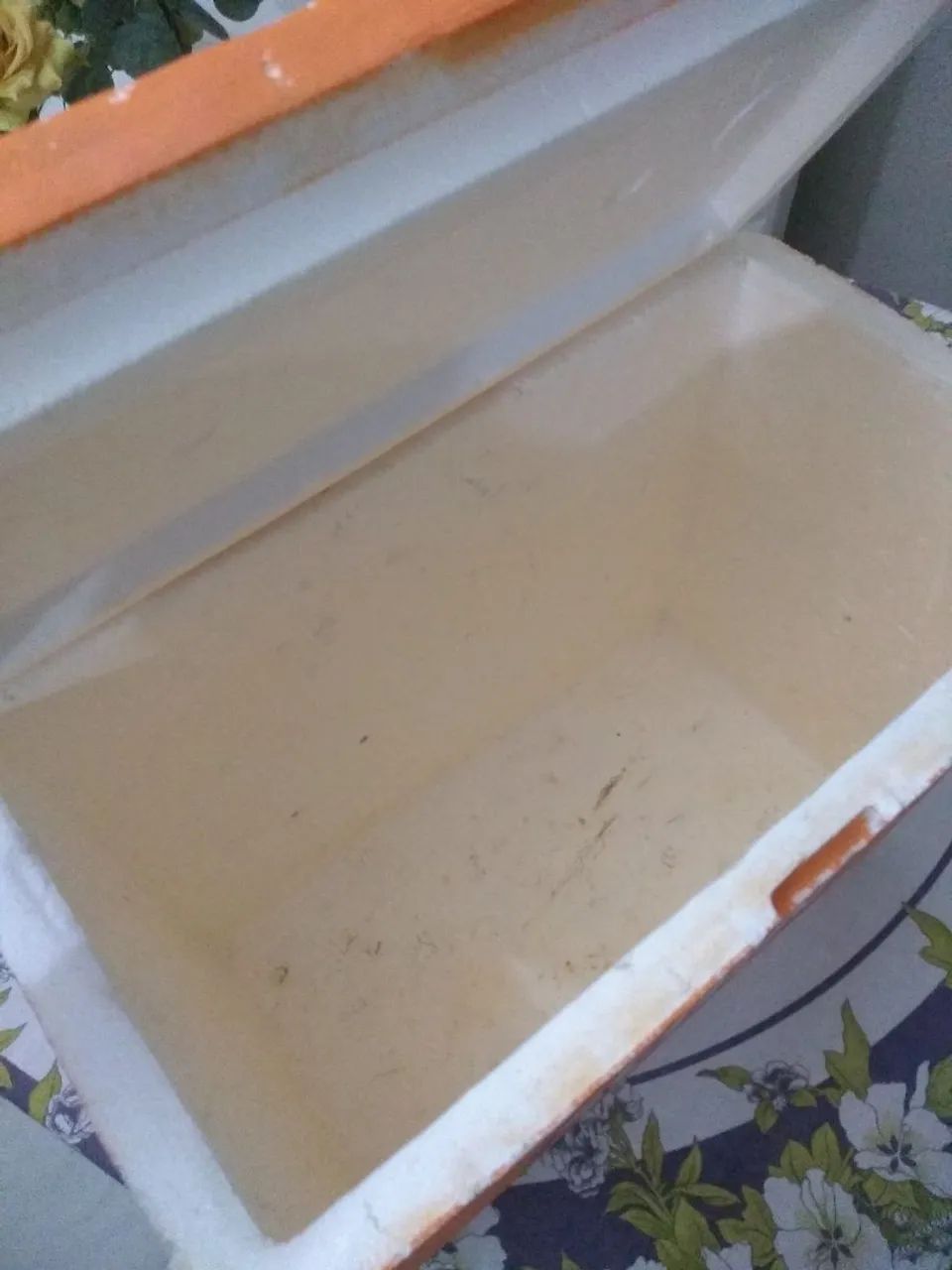 Oferta: Caixa de isopor 24L + engradado - Foto 3