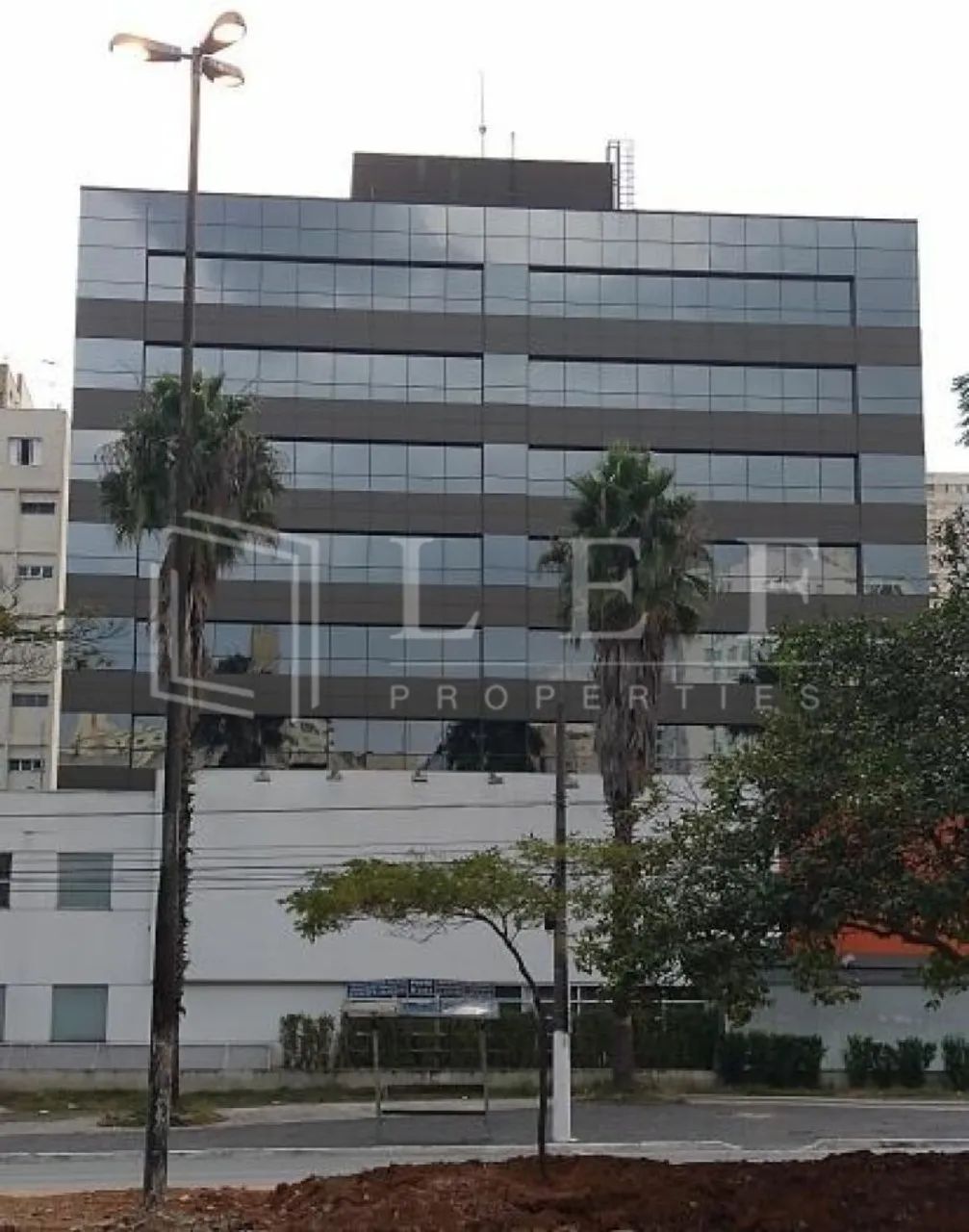 R Teodoro Sampaio, Pinheiros