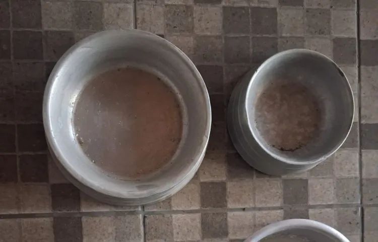 Bebedouro e Comedouro 
