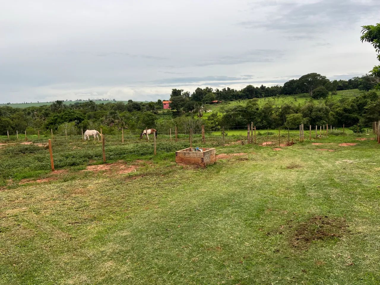 Alugo ou vendo sítio - 20km de Udi - Foto 5