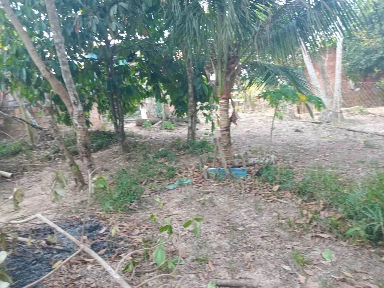 Estou vendendo uma casa em Coari - Foto 2