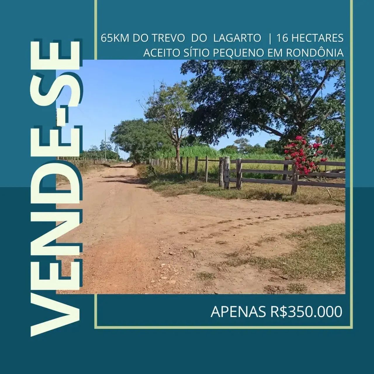 sitio de 16 hectares 350 - Foto 5