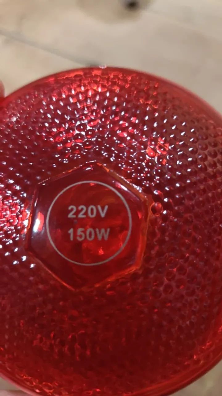 2 Lâmpadas Infravermelhas 150W 220V E27 - Funcionando - Foto 3