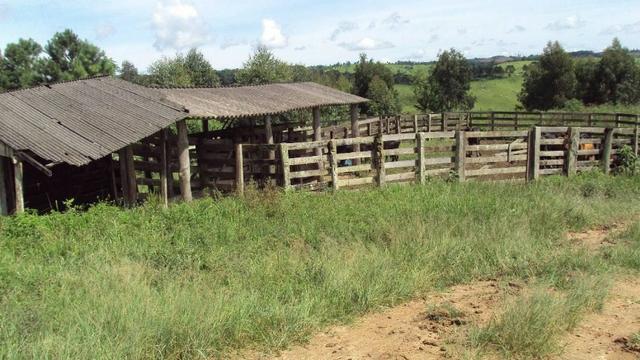 Excelente fazenda com 126 alqueires em Campo Largo - Foto 3
