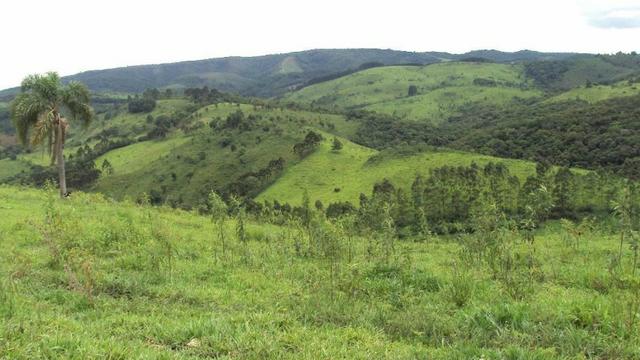 Excelente fazenda com 126 alqueires em Campo Largo