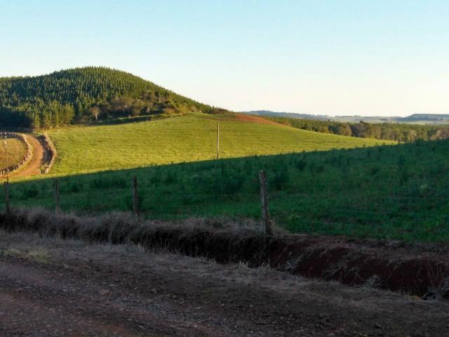Fazenda de 66 Alqueires .50 Alqueires Mecanizados - 17 KM de Cantagalo PR - Foto 2