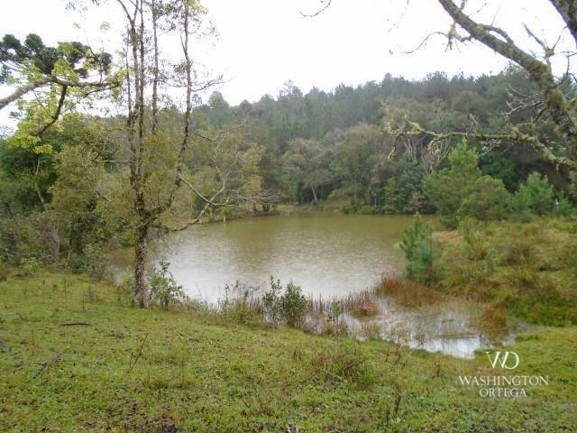 Chácara à venda, 2275517 m² por r$ 10.000.000,00 - centro - campo magro/pr - Foto 5