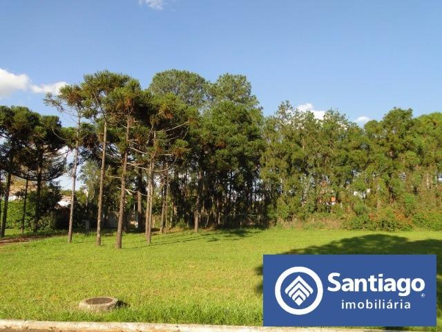 Park Way Quadra 23 Lote inteiro com 20.000m² Terreno - Foto 5