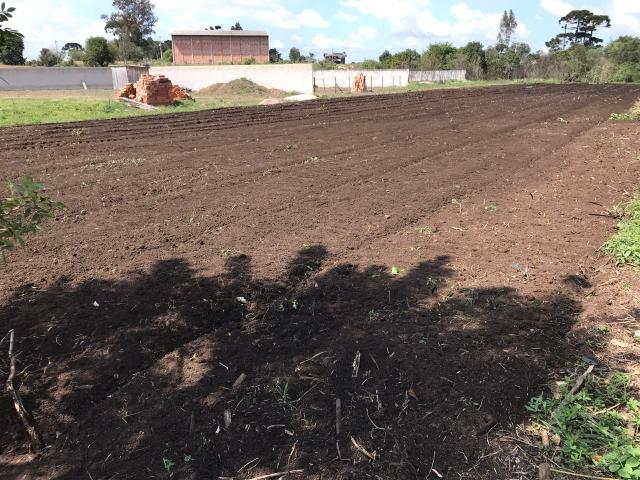 Terreno - Foto 2