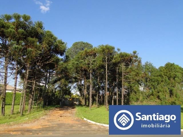 Park Way Quadra 23 Lote inteiro com 20.000m² Terreno