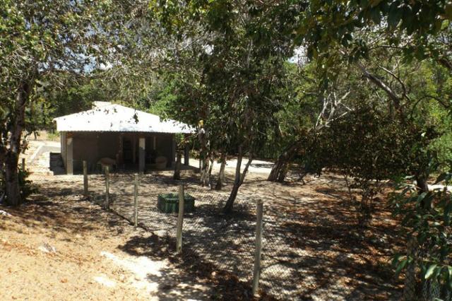 Terreno a venda no Cond. Quintas das Lagoas em Itacimirim - Foto 16