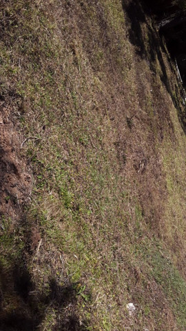 Belíssimo Terreno em Campos do Jordão! - Foto 4
