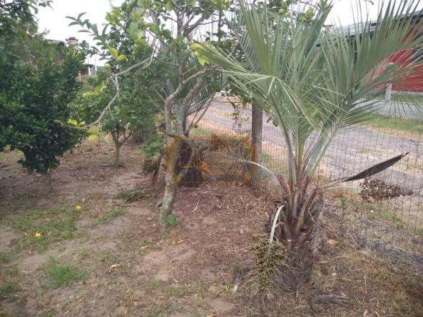 BELO SITIO - Foto 19