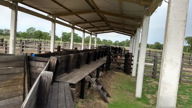Fazenda Santo Antonio Leverger 870 Hectares - Foto 7