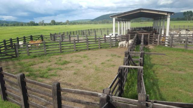 Fazenda Santo Antonio Leverger 870 Hectares - Foto 12