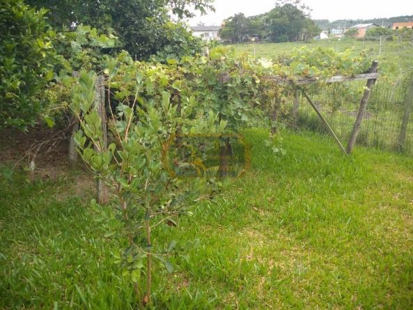 BELO SITIO - Foto 18