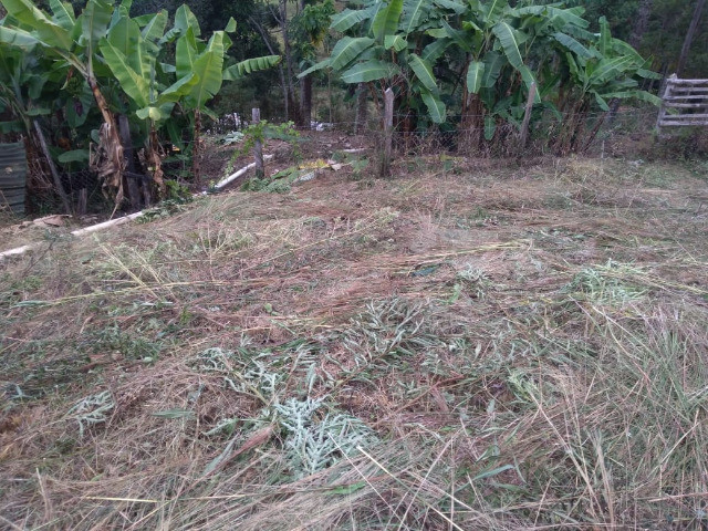 Chácara com 3.000 m2 em Delfim Moreira, MG. Aceito carro! - Foto 9