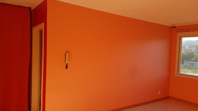 Apto 01 dormitorio s/ garagem- bairro teresopolis - Foto 5