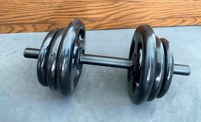 Anilhas, Halteres, Kettlebell, Barras, Caneleiras - Foto 3