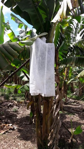 TNT- Agro têxtil - Foto 3