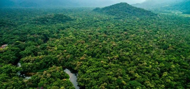 Reserva Legal para Compensação Ambiental  - Foto 2