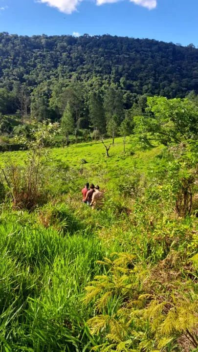 LOTES DE 1000M² PERTO DO ROTEIRO DO VINHO EM SÃO ROQUE - Foto 5