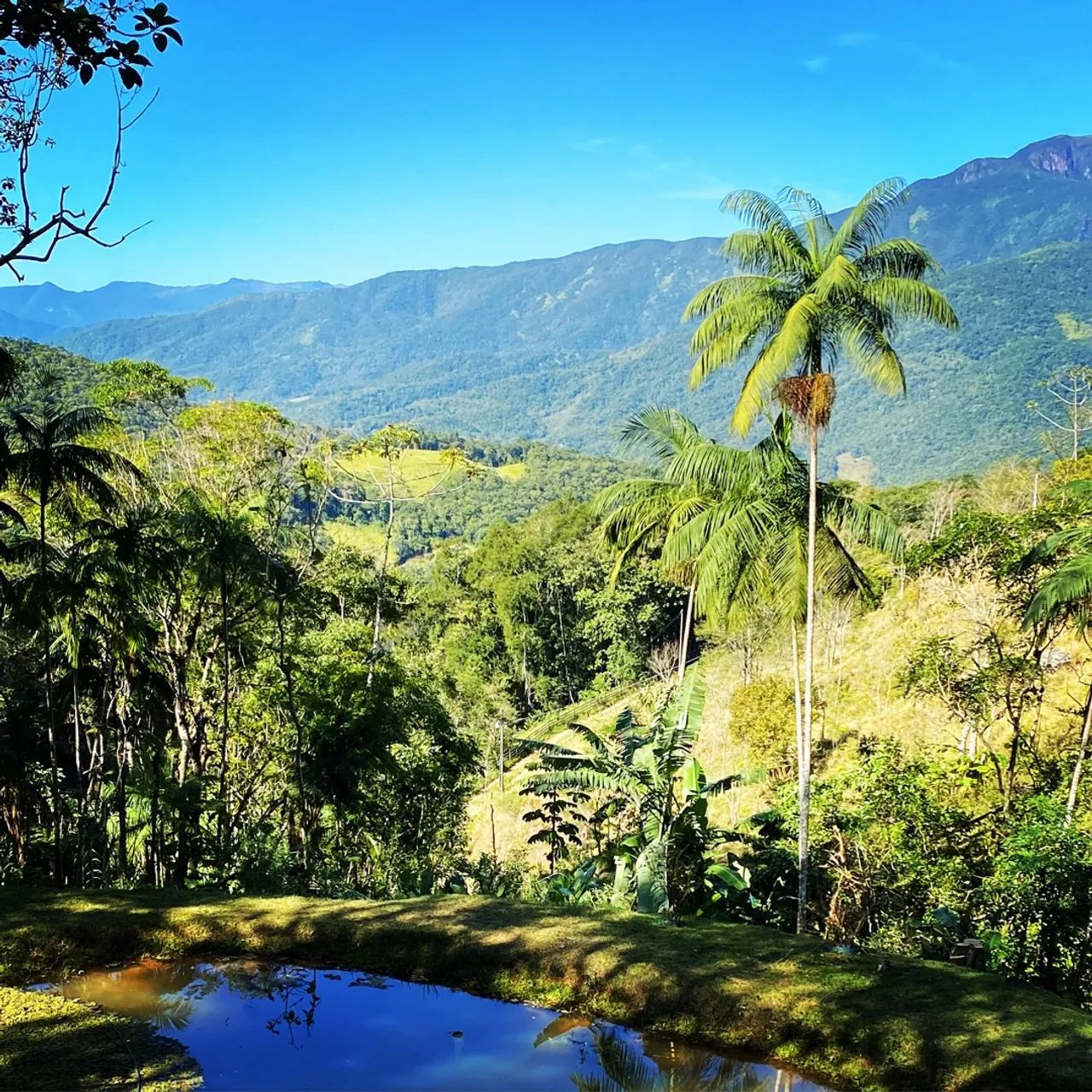Vendo Sítio em Águas Mornas (aceito parte em permuta) - Foto 3
