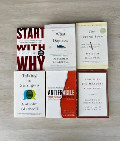 Livros diversos adulto