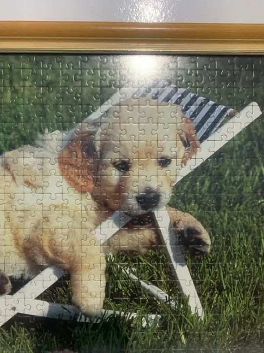 Lindo quadro cachorro golden quebra cabeça cão canino pet - Foto 2