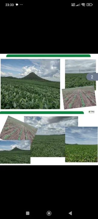 Fazenda 8.446.28 hect a 84km de Cuiabá MT 