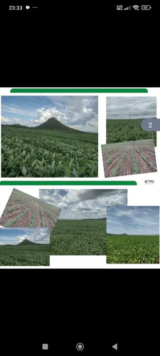 Fazenda 8.446.28 hect a 84km de Cuiabá MT