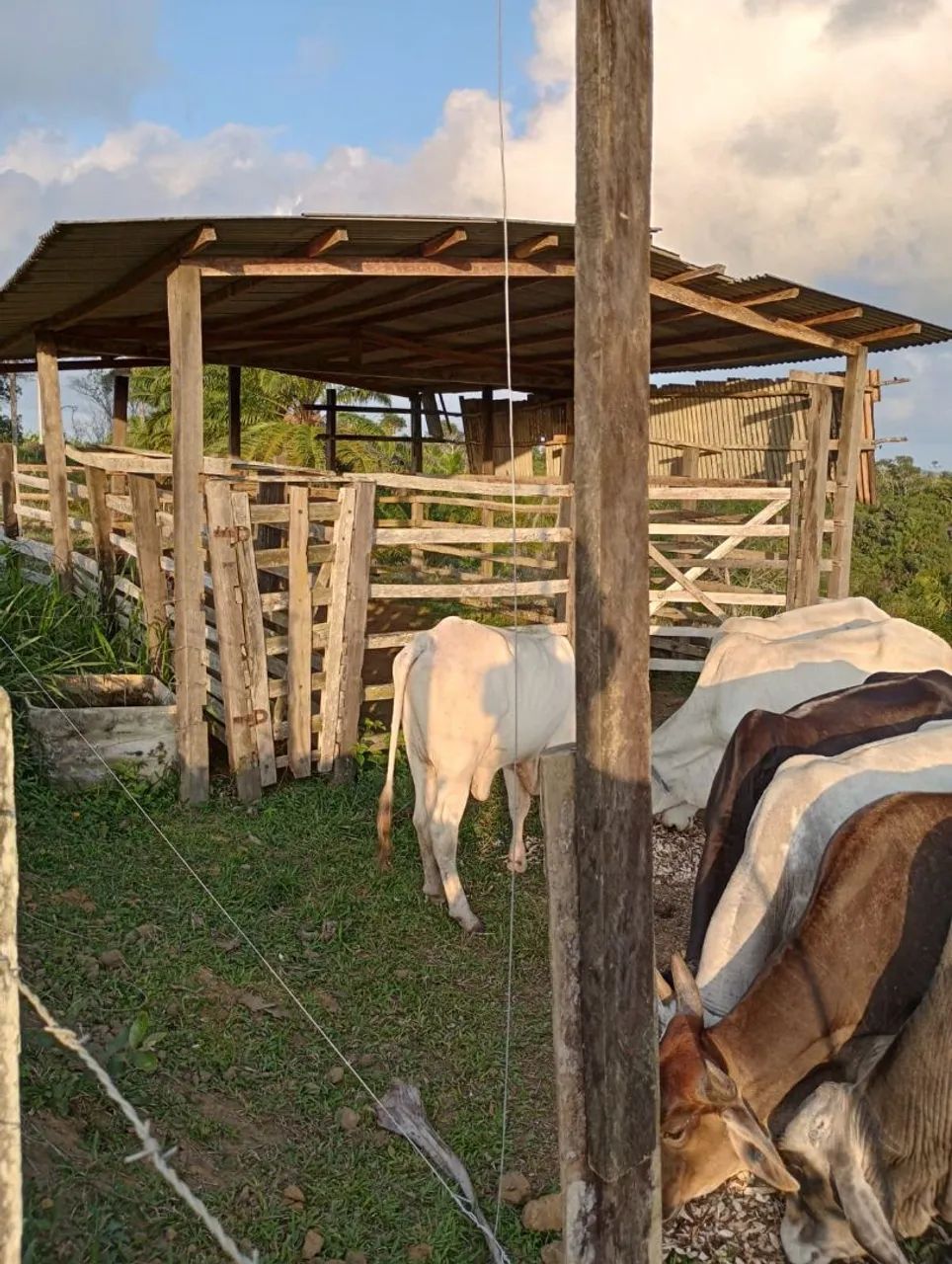 Vendo excelente sítio em Valença Bahia 