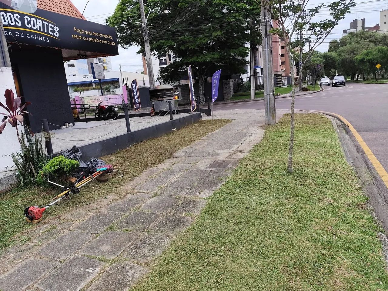 Jardinagem/roçada  - Foto 2