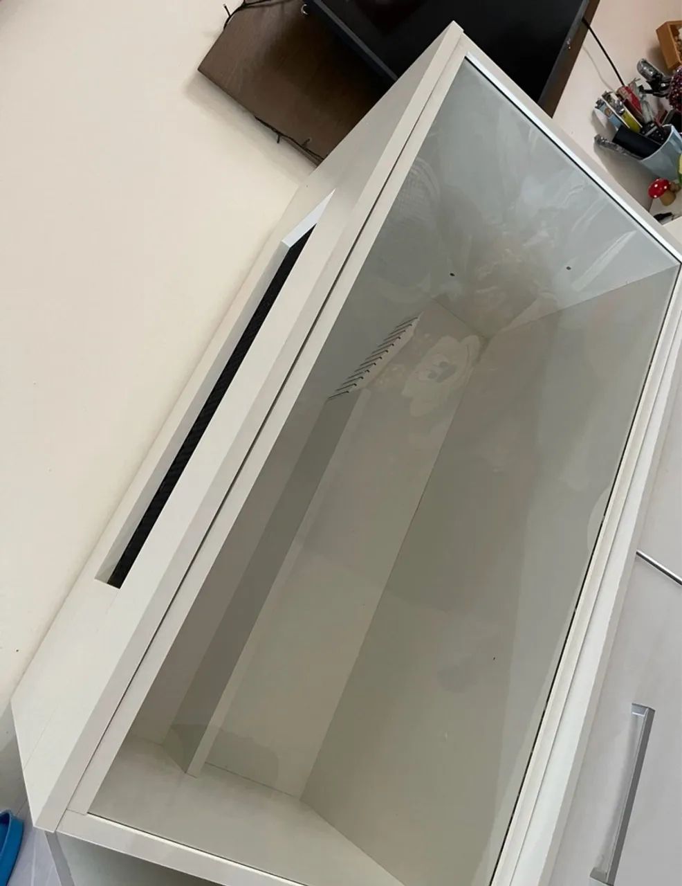 Terrário para roedores  - Foto 4