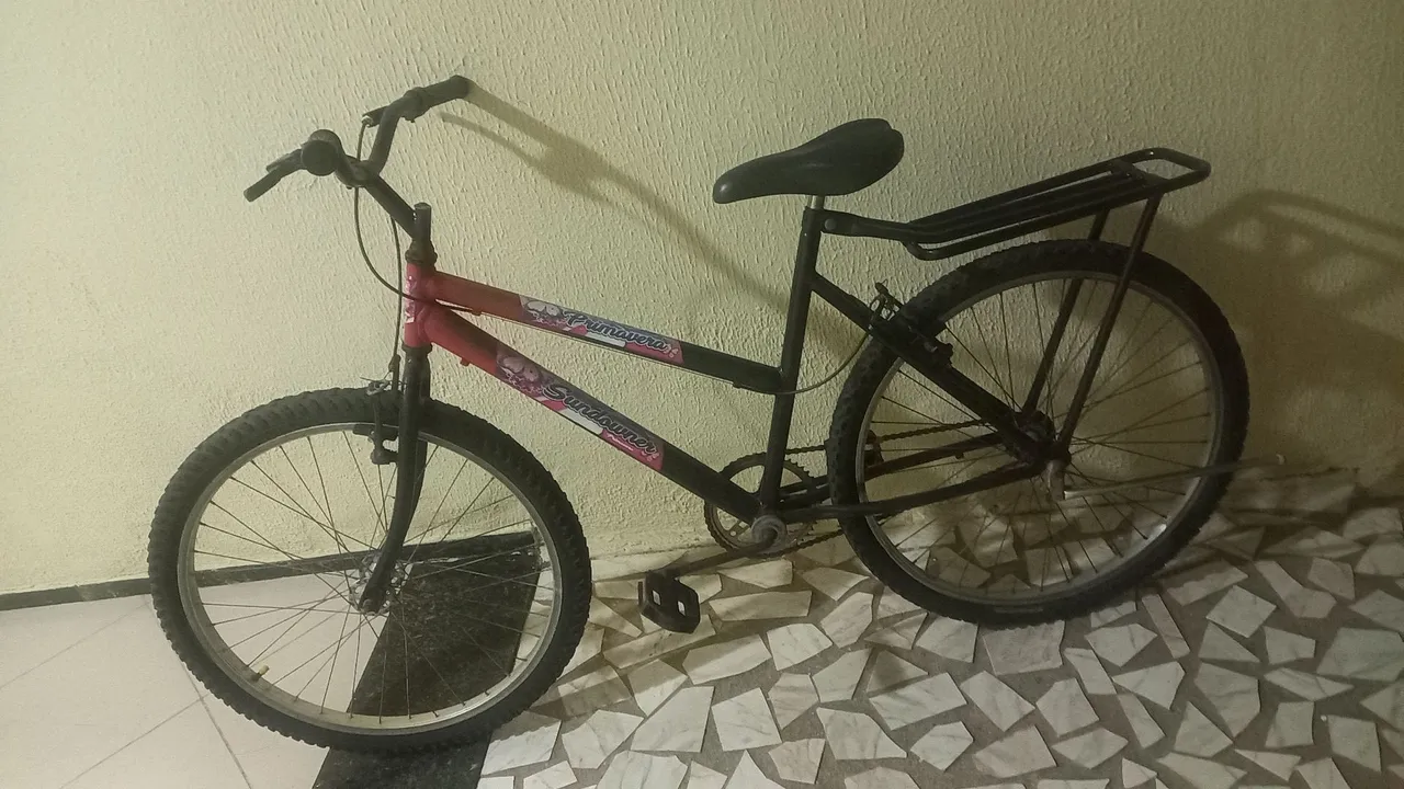 Bicicleta Sundowner Primavera