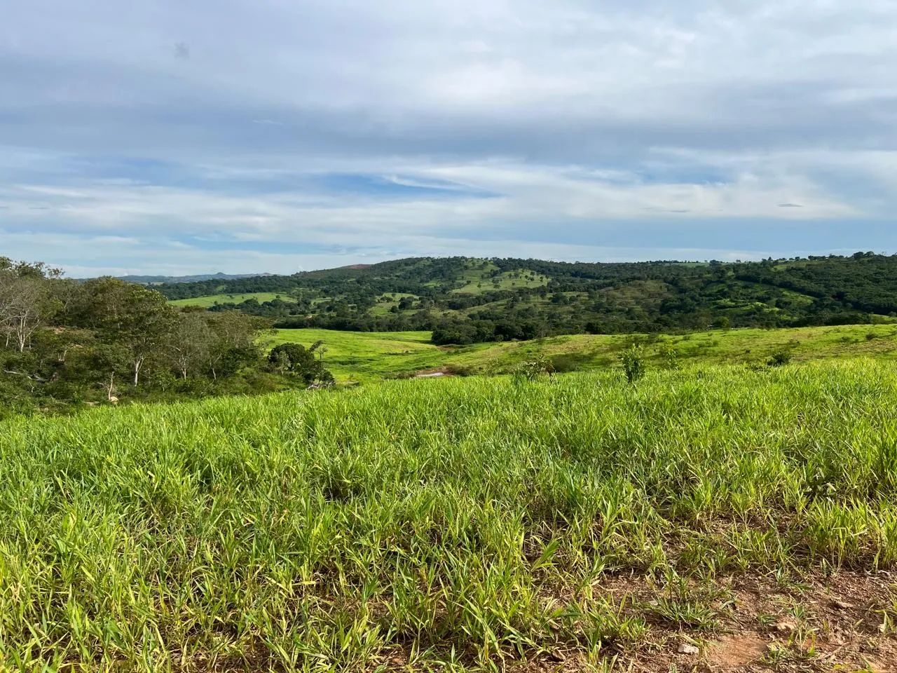 Fazendas no Goiás  - Foto 4