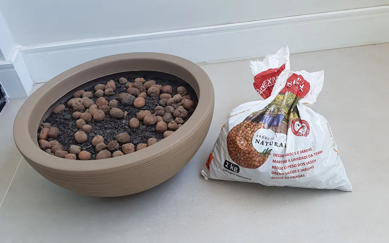 Vaso para planta + Argila
