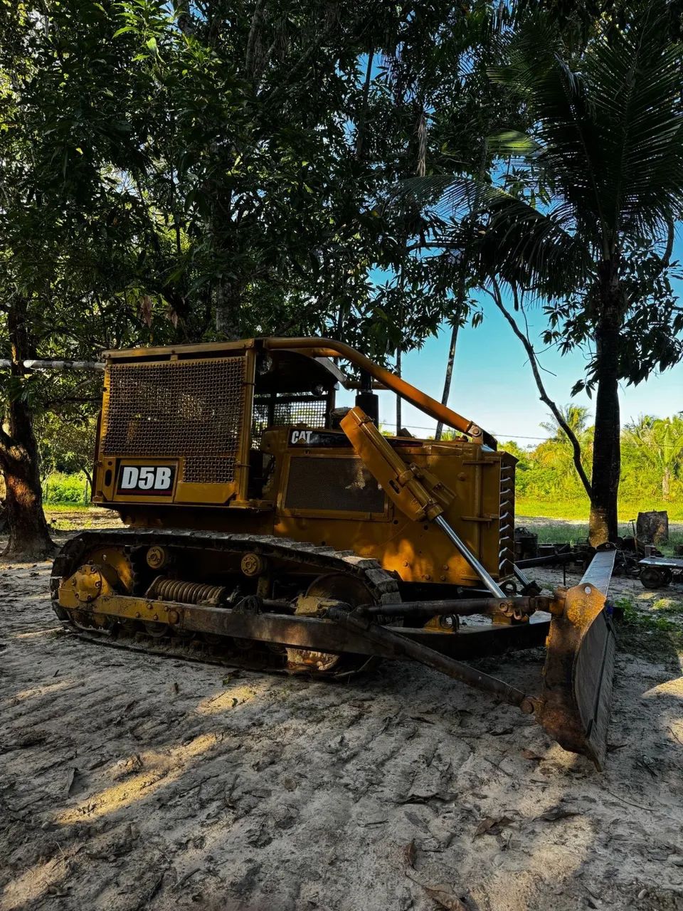 Agro industria - Foto 4