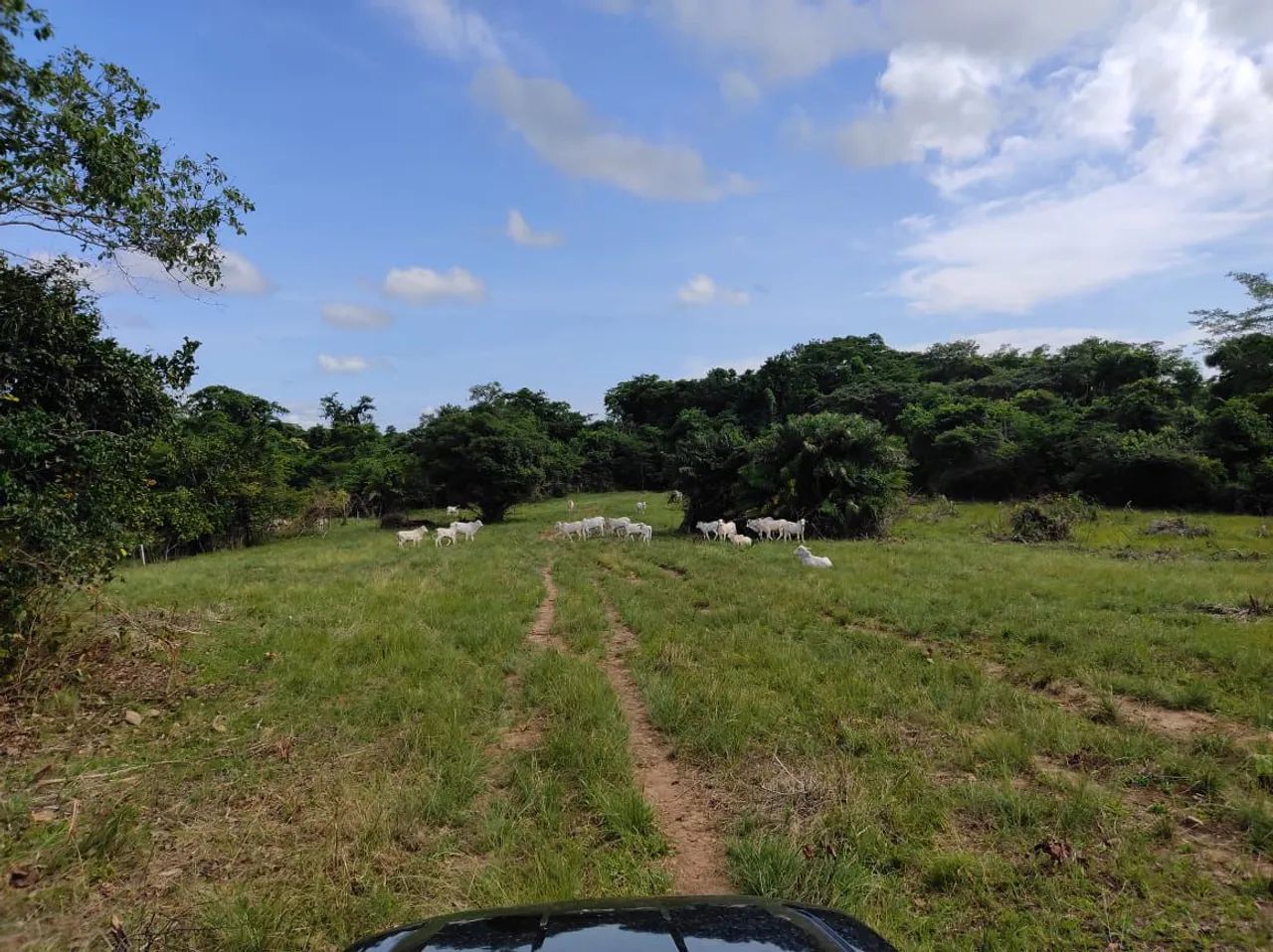 Fazenda 210 alqueires em Crixás no Tocantins 20 milhões. - Foto 3