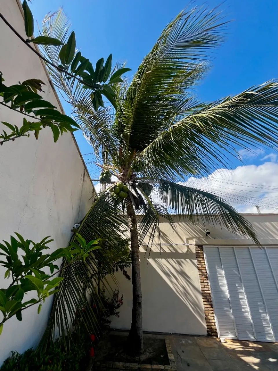 Disponível para o  Natal. Temporada de férias em Paracuru! - Foto 14