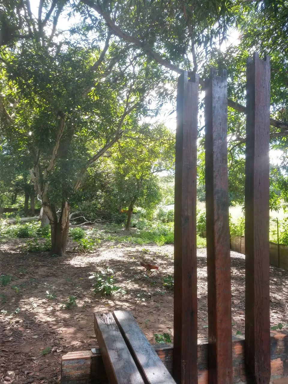 Colunas de Madeira para alpendre  - Foto 5