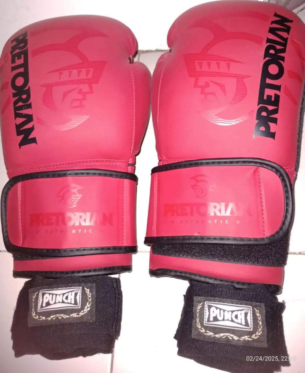 Luvas de Boxe Pretorian