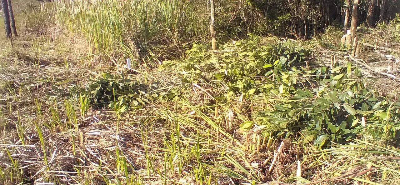 Primeira imagem do imóvel