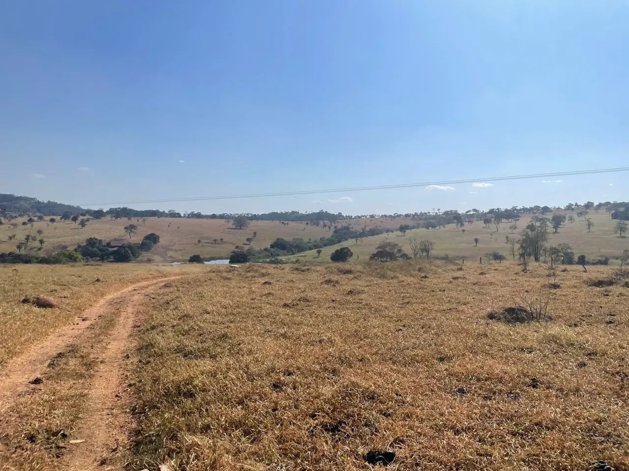 Imóvel para venda tem 2904000 metros quadrados com 5 quartos em Jardim Floresta - Trindade - Foto 4